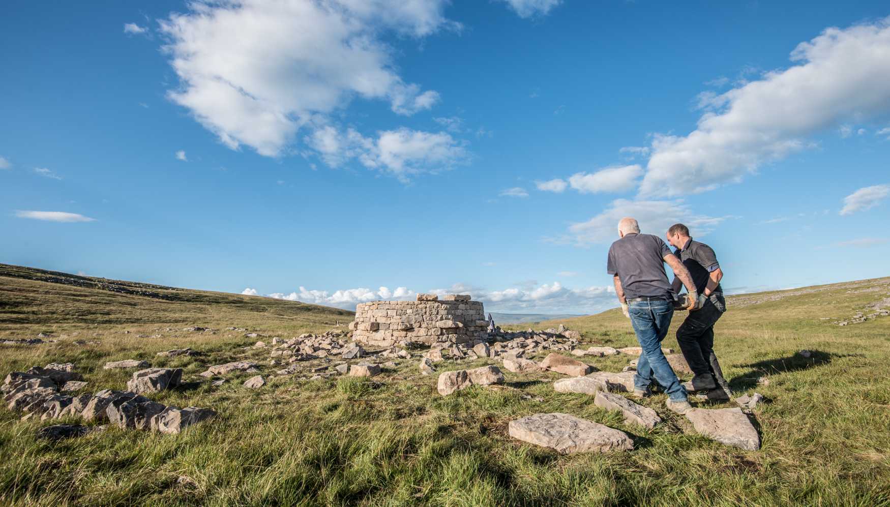 treefold: east Little Asby during construction