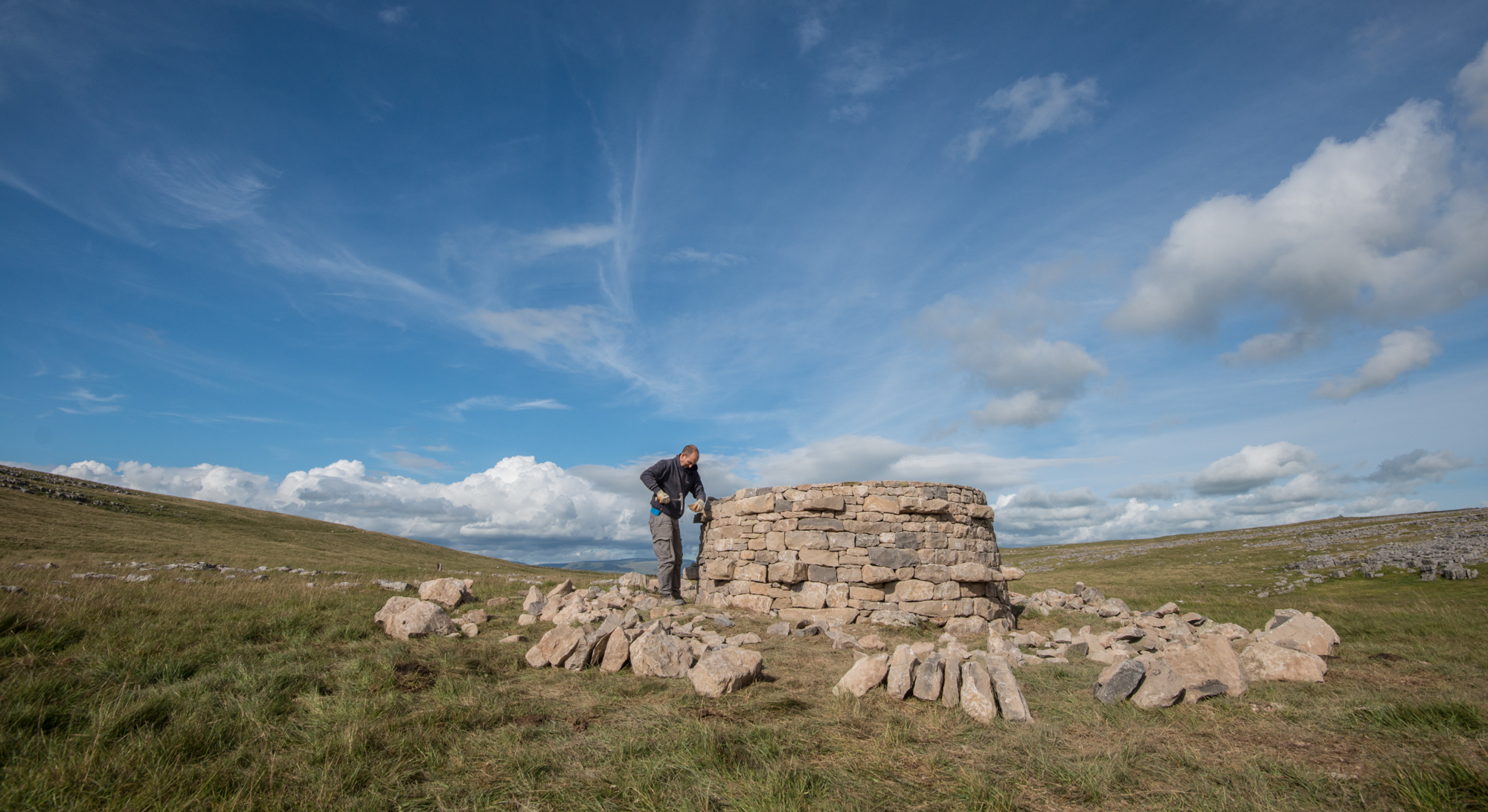 treefold:east being constructed