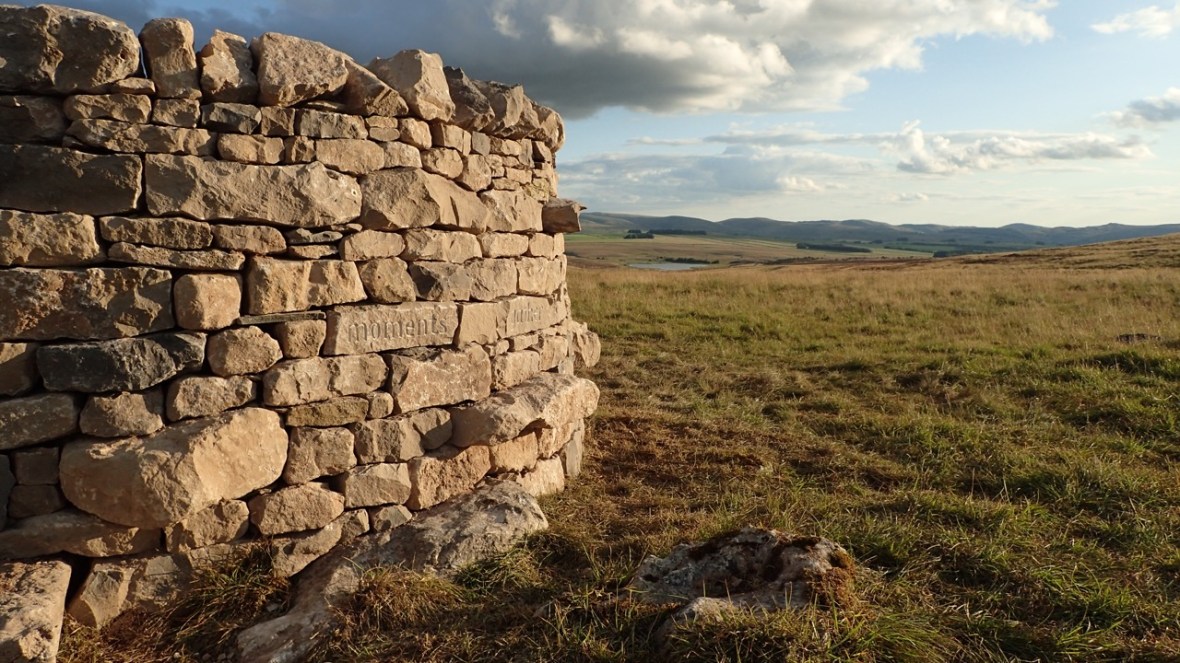 treefold:east Little Asby Common