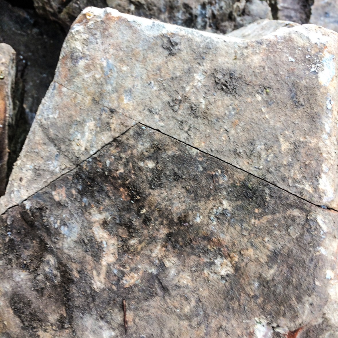 Diagram in stone. Picture taken by Harriet on her phone in the half-light at the end of day 3.