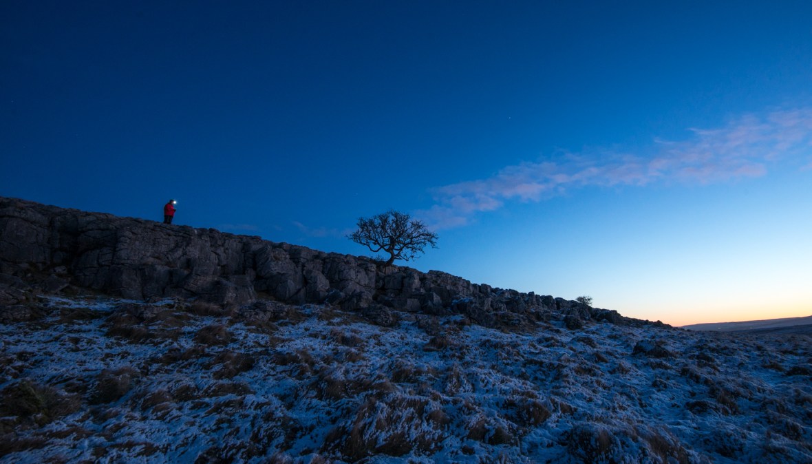 The Little Asby Hawthorn before Dawn