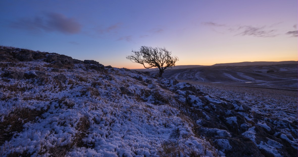 Little Asby Hawthorn as winter approaches