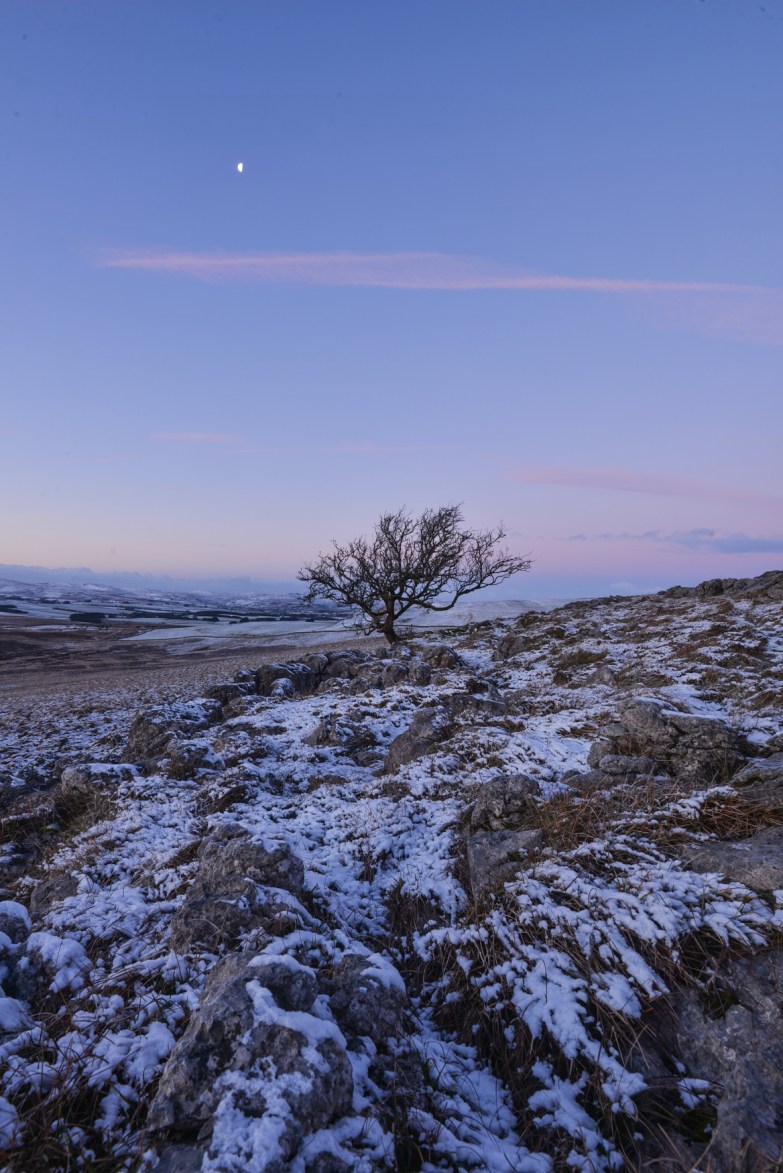 Little Asby Hawthorn dawn and moon