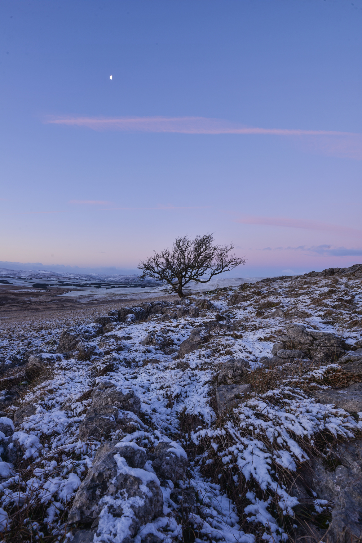 Little Asby Hawthorn dawn and moon