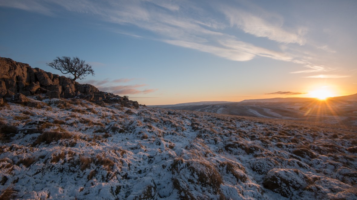 sun rising in the east and the Little Asby Hawthorn