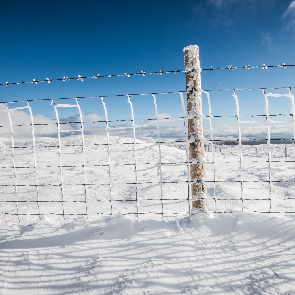 Rime ice on the fence at Ill Bell.