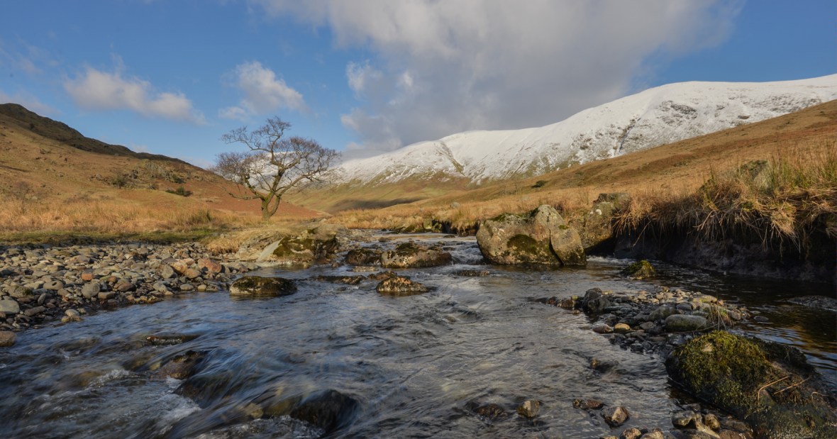 Trout Beck Alder on the Sunday afternoon.