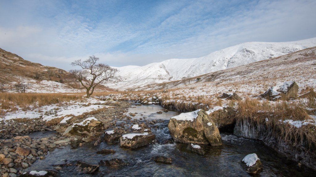 Trout Beck Alder in snow (Wednesday).