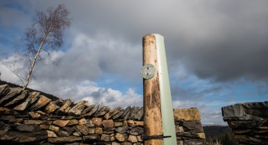 Tree Charter Legacy Tree tag on the aspen in treefold:centre