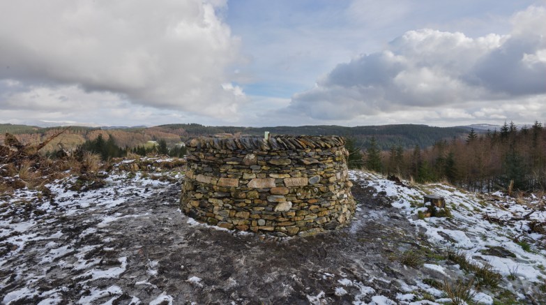 Treefold:centre planted with the tube just visible.