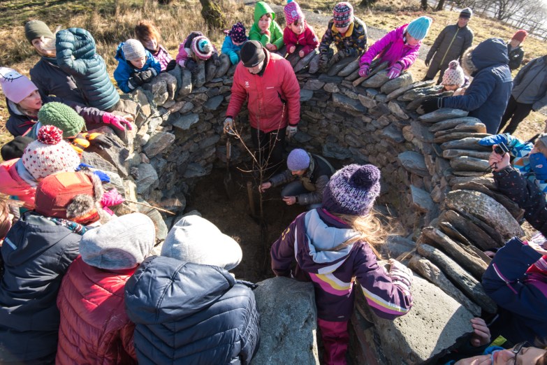 Harriet attaching the tie to the newly planted oak in treefold:north.
