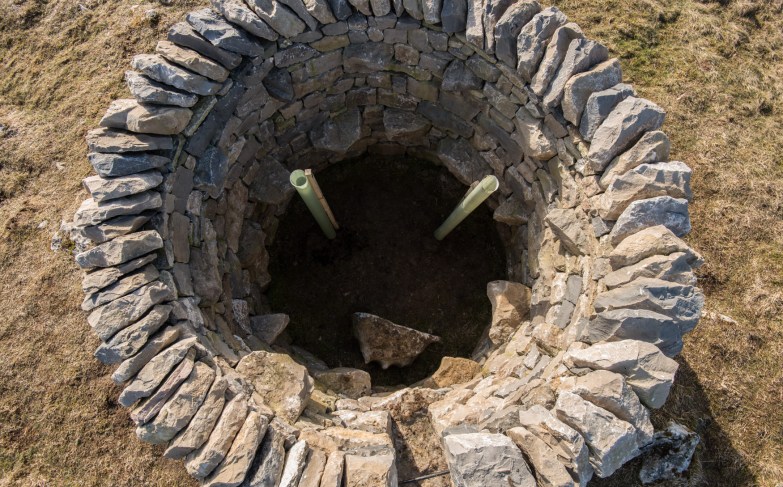 Two trees planted in treefold:east. A rowan (sorbus acuparia) at right and a sessile oak (Quercus Petraea).