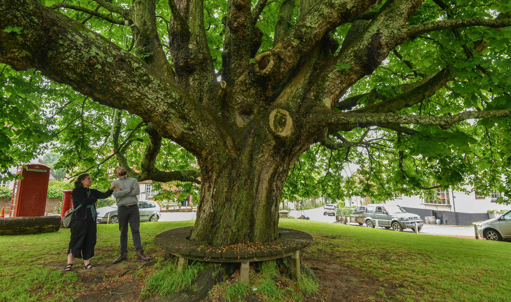 Beneath the horse chestnut tree on Sheet green, the centre of this small village