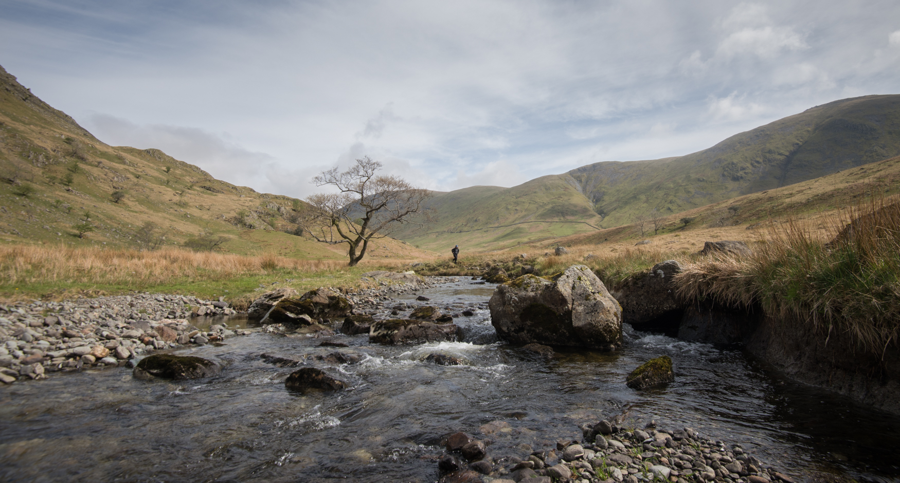 Troutbeck Alder April 2019